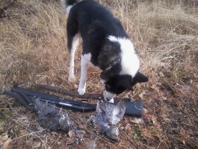 20110102_113556.jpg