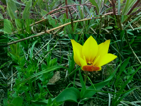 20160507_113403.jpg